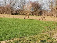 IMG_20220314_163407.jpg