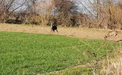 IMG_20220314_163400.jpg