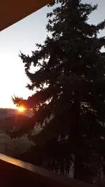20220323_062959.webp