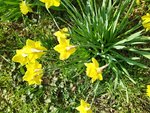 IMG_20220322_155917.jpg