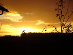 DSC02265.JPG