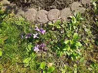 IMG_20220324_135950.webp