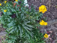 IMG_20220324_185601.webp