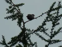 DSCN1168.webp