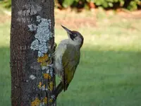 DSCN1825.webp