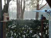 DSCN3216.webp