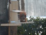 DSCN3217.JPG
