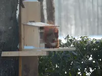 DSCN3217.webp