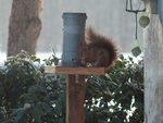 DSCN3218.JPG