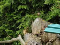 DSCN2725.webp