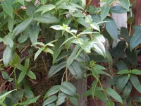DSCN2739.JPG