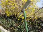 DSC02310.JPG