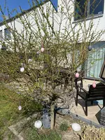D40A8322-1219-47C9-BDF9-CB0E761015AD.webp