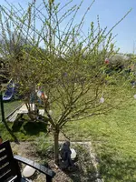 2CFE46A2-3EB0-460C-B9C6-80CD6FAA5303.webp