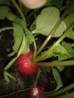 IMG_20220326_183704832.webp