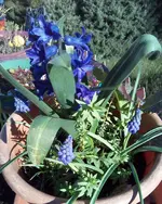 IMG_20220318_163935_542.webp