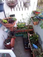 IMG_20220326_175113.webp