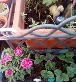 IMG_20220326_115057_002.webp
