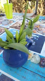 IMG-20220326-WA0004.webp