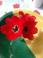 IMG_20220326_115346.webp