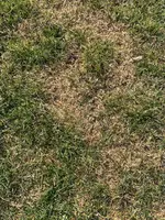 IMG_8846.webp