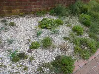 P1070226.webp P1070226.webp