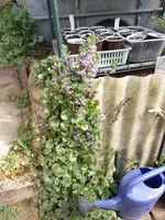 IMG_20220327_122520.webp