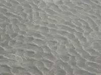 P1070246.webp