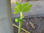 DSC02318.JPG