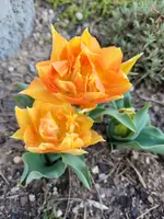 20220327_171927.webp