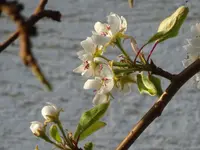 DSC02320.JPG