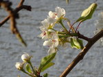 DSC02320.JPG