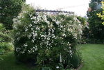 Rosentempel    0421.JPG