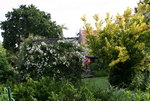 Rosentempel    0521.JPG