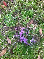 IMG_20220329_111335_1.jpg