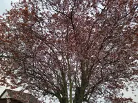IMG_20220329_111421.jpg