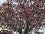 IMG_20220329_111421.jpg