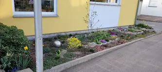 20220328_182328.jpg