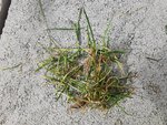 IMG_20220329_161658.jpg