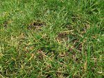 IMG_20220329_161629.jpg