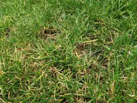 IMG_20220329_161629.jpg