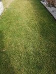 IMG_20220329_161618.jpg