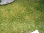 IMG_20220329_161540.jpg