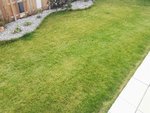 IMG_20220329_161525.jpg