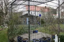 Rosenlaube  0122.webp