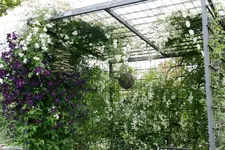 Rosentempel0116.webp