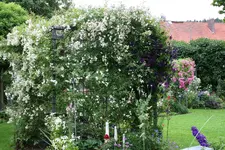 Rosentempel0216.webp