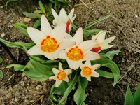 IMG_20220330_102448.webp