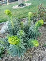 IMG_20220328_173102.webp