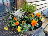 IMG_20220328_173208.webp